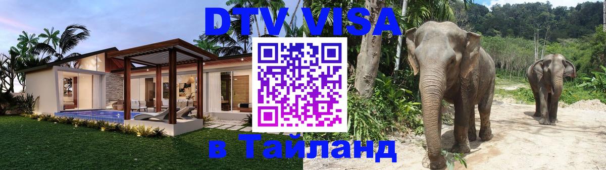Сколько стоит DTV виза — актуальные цены, оформление даже без документов - 20.11.2025 